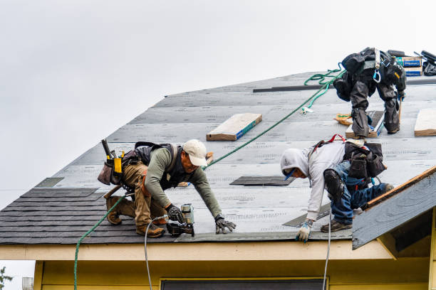 Professional Emergency Roof Repair technician working in Encampment, WY